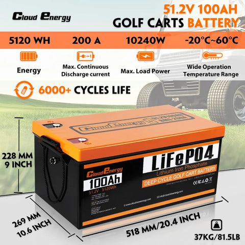 RadiantGrid Pro Series 48V(51.2V) LiFePO4 Battery - Solar Storage System Built-in 200A BMS with Mobile APP