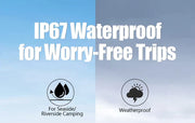 RadiantGrid FlexPro