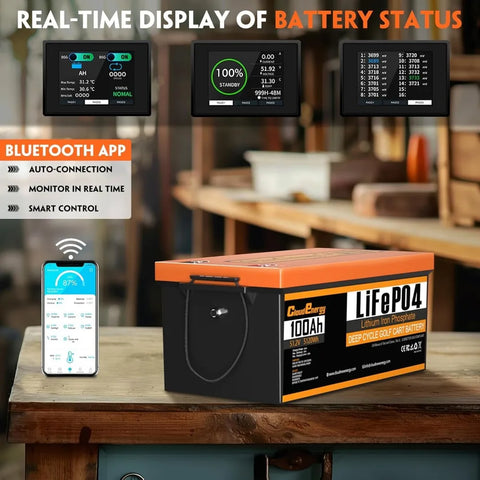 RadiantGrid Pro Series 48V(51.2V) LiFePO4 Battery - Solar Storage System Built-in 200A BMS with Mobile APP